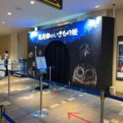 ヒメ日記 2025/06/07 14:32 投稿 るい スイカ