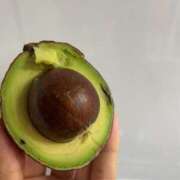 ヒメ日記 2025/06/11 20:05 投稿 るい スイカ