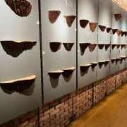 ヒメ日記 2025/06/11 21:50 投稿 るい スイカ