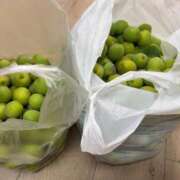 ヒメ日記 2025/06/13 16:29 投稿 るい スイカ