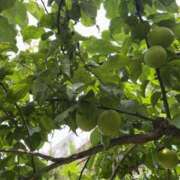 ヒメ日記 2025/06/13 18:03 投稿 るい スイカ