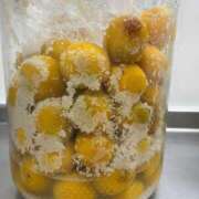 ヒメ日記 2025/06/26 19:56 投稿 るい スイカ