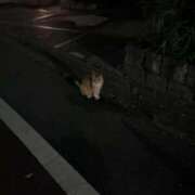 ヒメ日記 2025/07/09 14:37 投稿 るい スイカ