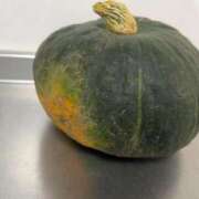 ヒメ日記 2025/07/13 15:55 投稿 るい スイカ