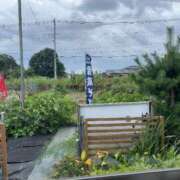 ヒメ日記 2025/07/14 19:52 投稿 るい スイカ