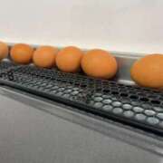 ヒメ日記 2025/07/20 18:04 投稿 るい スイカ