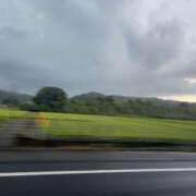 ヒメ日記 2025/08/06 17:06 投稿 るい スイカ