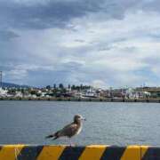 ヒメ日記 2025/08/08 18:27 投稿 るい スイカ