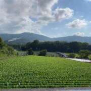 ヒメ日記 2025/08/22 12:12 投稿 るい スイカ