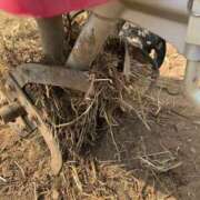 ヒメ日記 2025/08/27 16:42 投稿 るい スイカ