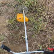 ヒメ日記 2025/08/30 19:01 投稿 るい スイカ