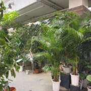 ヒメ日記 2025/09/16 13:44 投稿 るい スイカ