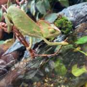 ヒメ日記 2025/09/16 18:17 投稿 るい スイカ