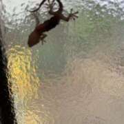 ヒメ日記 2025/09/19 16:54 投稿 るい スイカ