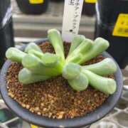 ヒメ日記 2025/09/19 19:15 投稿 るい スイカ