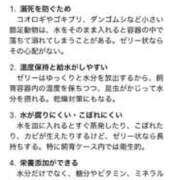 ヒメ日記 2025/09/22 14:57 投稿 るい スイカ