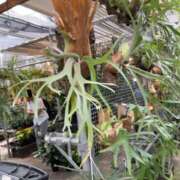 ヒメ日記 2025/09/22 19:24 投稿 るい スイカ