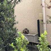 ヒメ日記 2025/09/29 13:28 投稿 るい スイカ