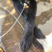 ヒメ日記 2025/10/09 23:52 投稿 るい スイカ