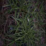 ヒメ日記 2025/10/12 14:50 投稿 るい スイカ