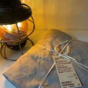 ヒメ日記 2025/11/04 16:33 投稿 るい スイカ