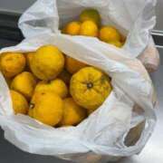 ヒメ日記 2025/11/12 18:11 投稿 るい スイカ