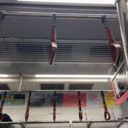 ヒメ日記 2025/11/21 14:07 投稿 るい スイカ