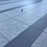 ヒメ日記 2025/12/01 12:43 投稿 るい スイカ