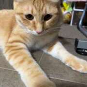 ヒメ日記 2025/12/07 19:54 投稿 るい スイカ