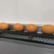 ヒメ日記 2025/12/10 00:05 投稿 るい スイカ