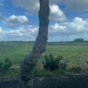 ヒメ日記 2025/12/12 16:12 投稿 るい スイカ