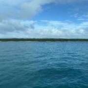 ヒメ日記 2025/12/13 10:50 投稿 るい スイカ