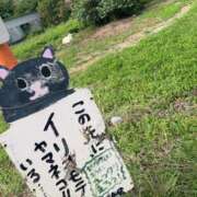 ヒメ日記 2025/12/15 12:31 投稿 るい スイカ