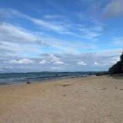 ヒメ日記 2025/12/15 16:21 投稿 るい スイカ