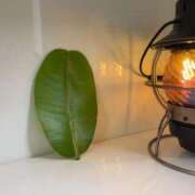 ヒメ日記 2025/12/17 00:43 投稿 るい スイカ