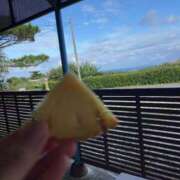 るい パイナップル畑と海を見ながら　つづき スイカ