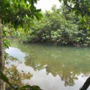 ヒメ日記 2025/12/22 14:45 投稿 るい スイカ