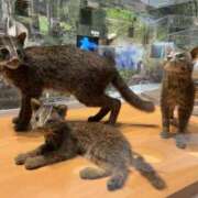 ヒメ日記 2025/12/22 21:38 投稿 るい スイカ