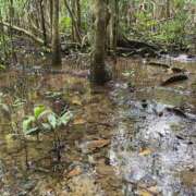 ヒメ日記 2025/12/28 14:34 投稿 るい スイカ