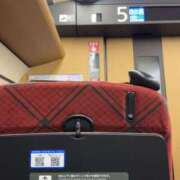 ヒメ日記 2025/12/30 13:38 投稿 るい スイカ