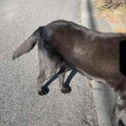 ヒメ日記 2026/01/01 21:40 投稿 るい スイカ