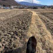 ヒメ日記 2026/01/02 17:15 投稿 るい スイカ