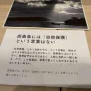 ヒメ日記 2026/01/13 15:32 投稿 るい スイカ