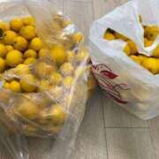 ヒメ日記 2026/01/14 17:00 投稿 るい スイカ