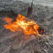 ヒメ日記 2026/01/25 23:27 投稿 るい スイカ