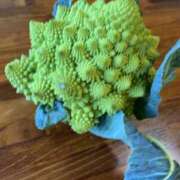 ヒメ日記 2026/01/26 22:33 投稿 るい スイカ