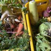 ヒメ日記 2026/01/27 12:31 投稿 るい スイカ