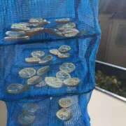 ヒメ日記 2026/02/02 16:34 投稿 るい スイカ