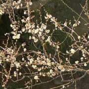 ヒメ日記 2026/02/05 14:38 投稿 るい スイカ