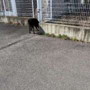 ヒメ日記 2026/02/06 17:50 投稿 るい スイカ